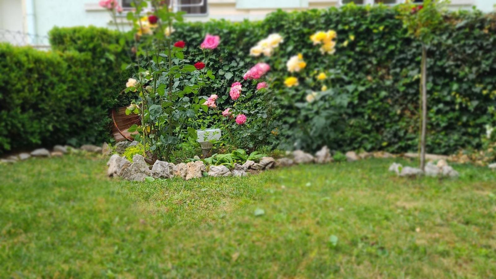Happy Star Apartment Ni Екстериор снимка